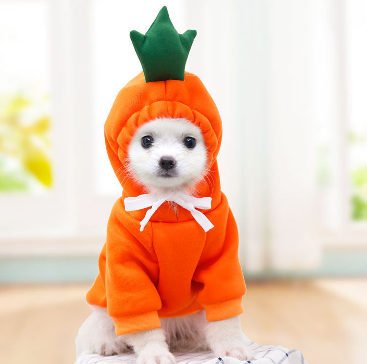Cute Dog Hoodies – Cozy Animal & Fruit-Themed Clothes for Small Breeds