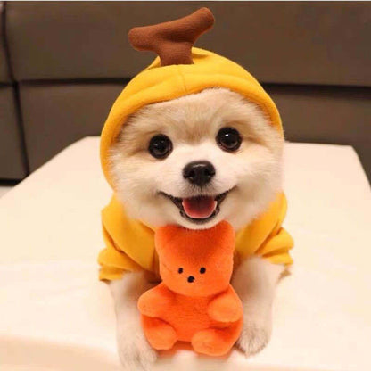 Cute Dog Hoodies – Cozy Animal & Fruit-Themed Clothes for Small Breeds